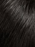 Phoenix Wig by Jon Renau | Human Hair