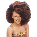 Janet Collection Noir 2 in 1 Value Pack Crochet Braid - AFRO KINKY BULK 24"