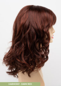 Harmony Wig by Envy | Lace Front | Mono Part | Synthetic Fiber