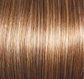 Forever Chic Wig by Gabor | Lace Front | Hand Tied Top | Synthetic Fiber