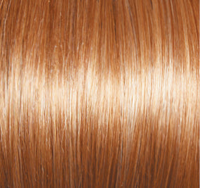 Forever Chic Wig by Gabor | Lace Front | Hand Tied Top | Synthetic Fiber