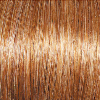 Incentive Wig by Gabor | Lace Front | Mono Top | Petite Cap