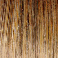 Forever Chic Wig by Gabor | Lace Front | Hand Tied Top | Synthetic Fiber