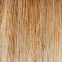 Forever Chic Wig by Gabor | Lace Front | Hand Tied Top | Synthetic Fiber