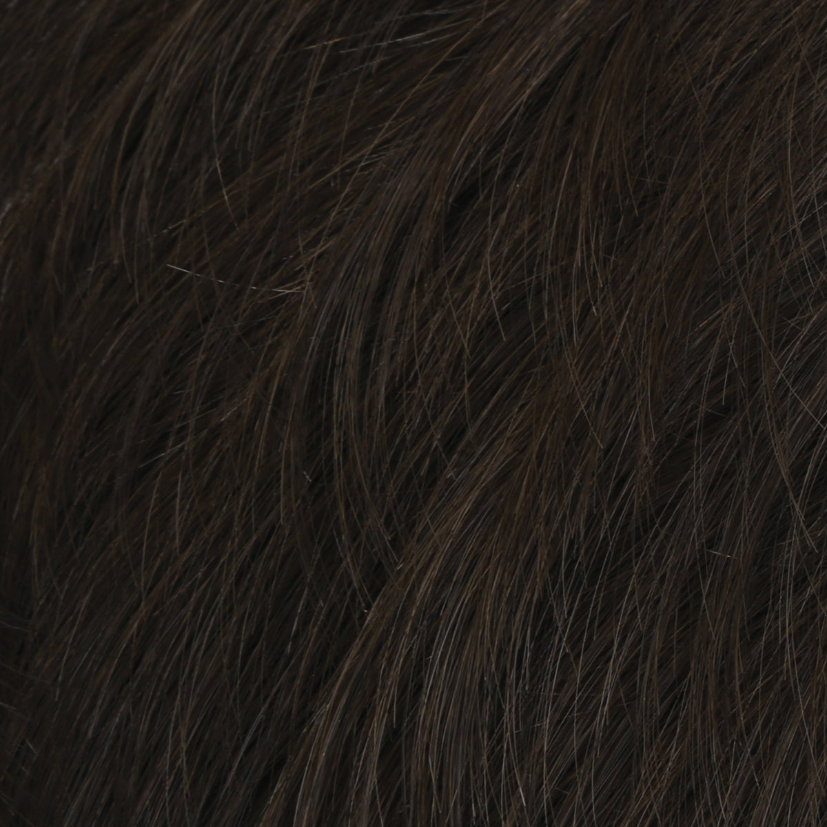 Daring by HIM | Heat Friendly Synthetic Men's Wig