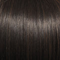 In Charge Wig by Raquel Welch