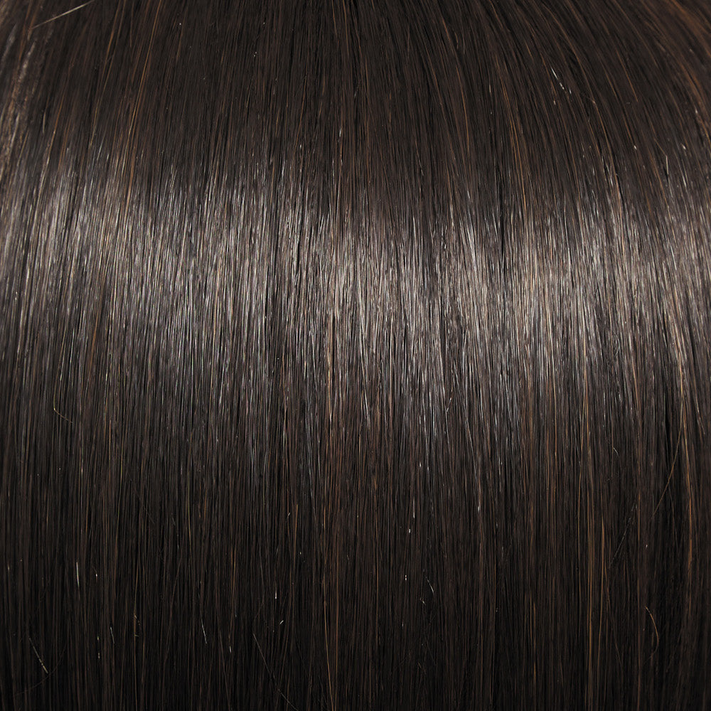In Charge Wig by Raquel Welch