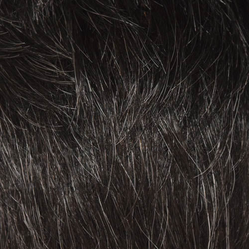 Felicity Wig by WigPro | Synthetic Fiber