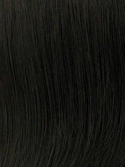 Clip and Flip by Toni Brattin | Hair Extension | Heat Friendly Synthetic