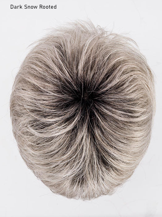 Club 10 Wig by Ellen Wille | Hair Power | Synthetic Fiber