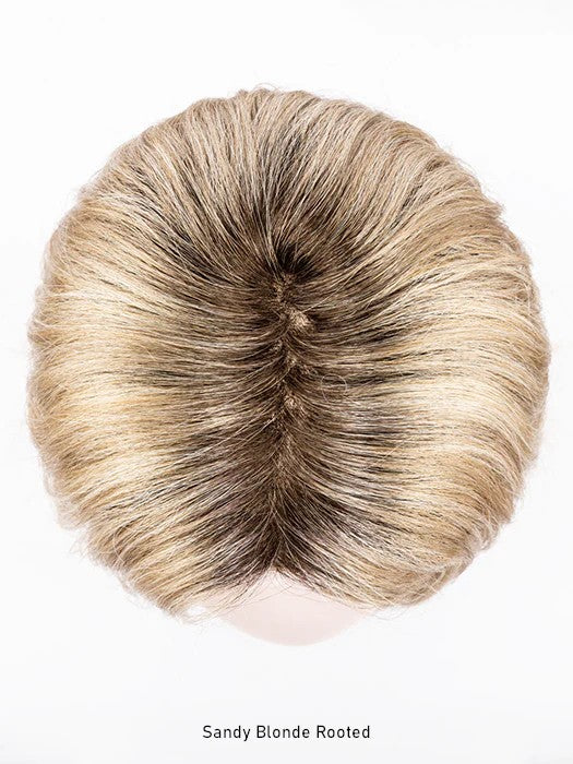 Destiny Wig by Ellen Wille | Hair Power | Extended Lace Front | Mono Part