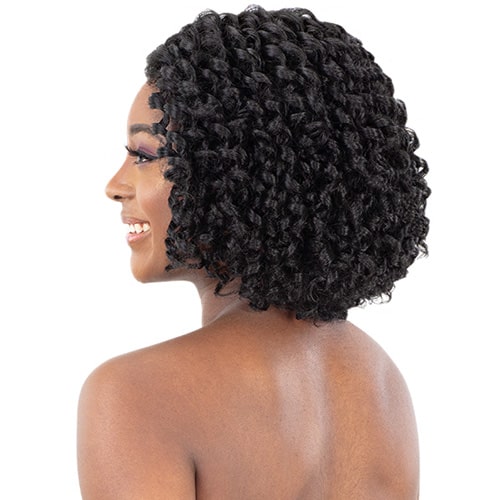 Freetress Equal Lace & Lace Front Wig - NATURAL FLEXI SET