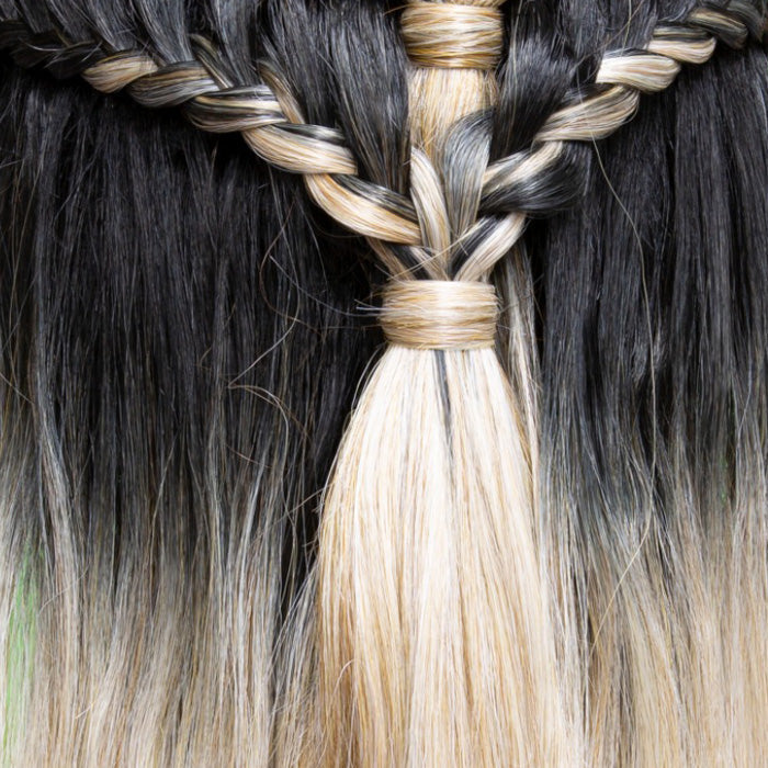 Janet Collection Braided Extended Part Swiss Lace Wig - LANA